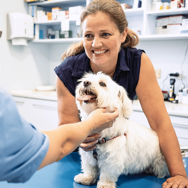 A woman is seen petting a dog in a vet office