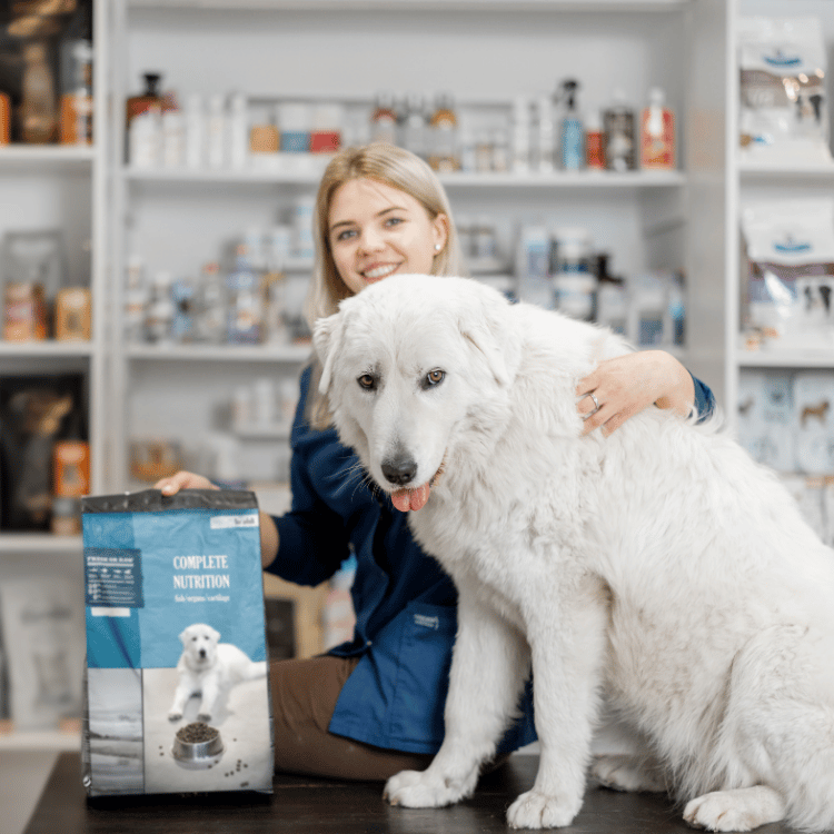 A veterinarian in a white coat gently pets a golden retriever